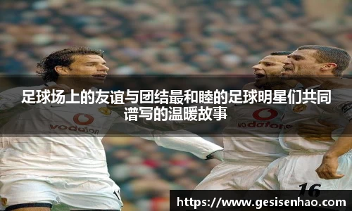 足球场上的友谊与团结最和睦的足球明星们共同谱写的温暖故事
